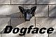 Daddio666's Avatar