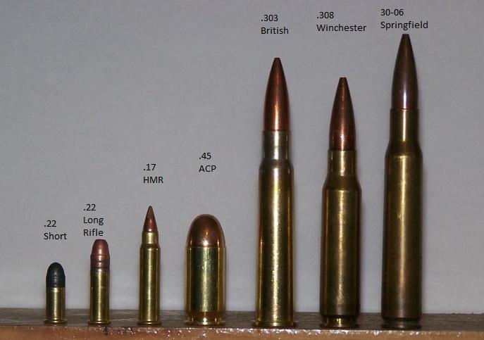 338 Lapua Vs 223.