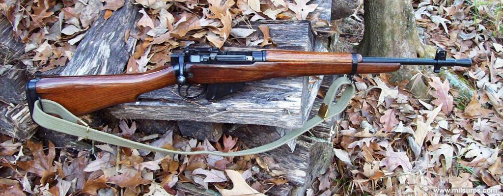 Al's guns - Photo 862