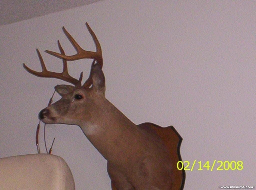 sniper762 - Photo 896