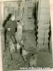 photos from 1949 to present