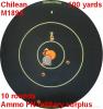 Chile M1895 100 yard target
