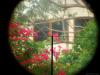 Lee Enfield - N32 Sniper Scope 1941 - Photo 1952