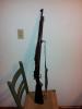 Springfield 1903